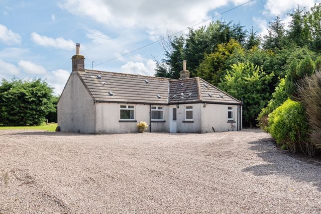 Thumbnail Property for sale in Idvies, Forfar