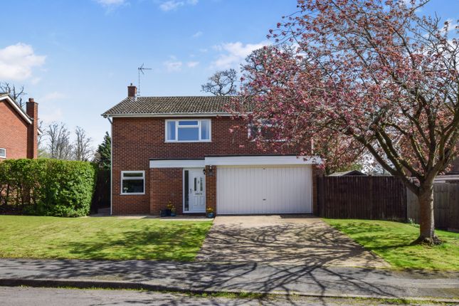 Thumbnail Detached house for sale in Beech Avenue, Great Stukeley, Huntingdon