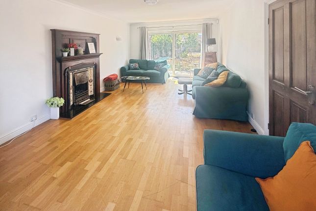 22, Cambridge photo 3