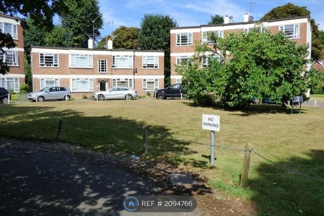 Thumbnail Flat to rent in Park Road, Twickenham