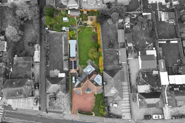 Untitled Design - 2025-11-04T163606.084.Jpg