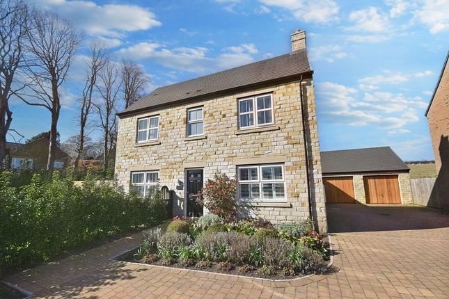 Thumbnail Detached house for sale in Somerset Avenue, Peters Mill, Alnwick
