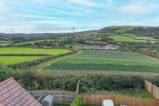 17 Blackberry Close, Paignton photo 2