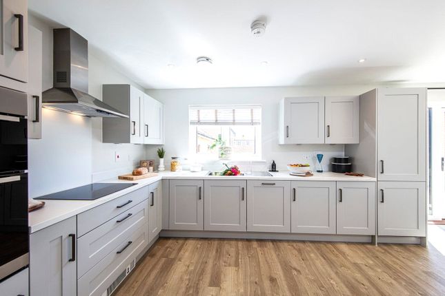 Plot 113, The Selsdon, Cashmere Park, South Molton photo 4
