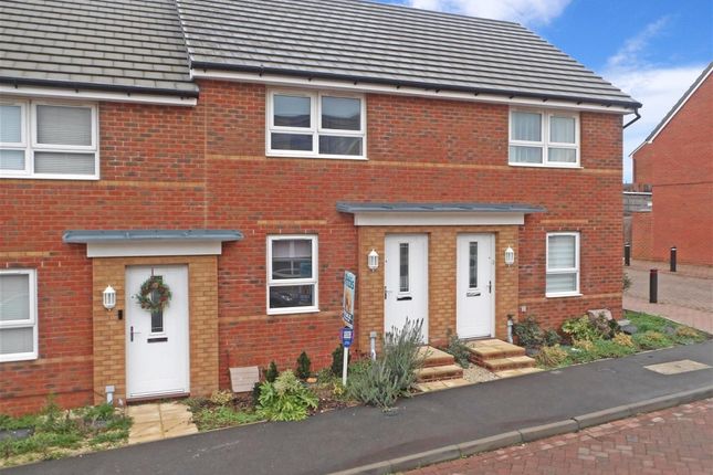 Thumbnail Terraced house to rent in Cromwell Avenue, East Cowes
