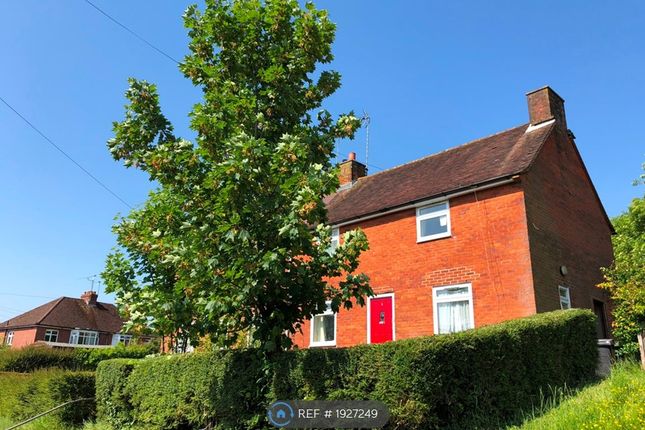 Thumbnail Semi-detached house to rent in Eversley Place, Winchester