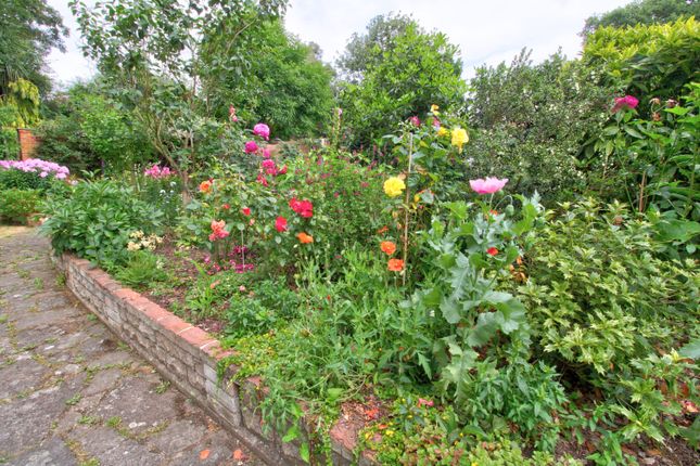 Garden 2