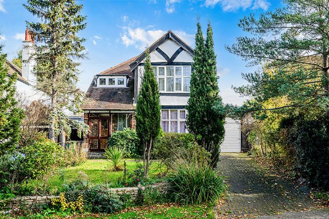 16 Hambledon Hill, Epsom photo 2
