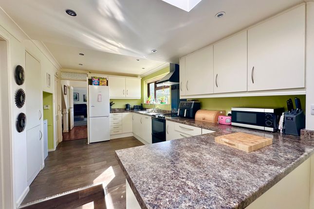 23, Conifer Close, Great Yarmouth photo 4