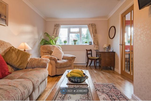 Semi-detached house to rent in Whitehall Bridge Road, Canterbury