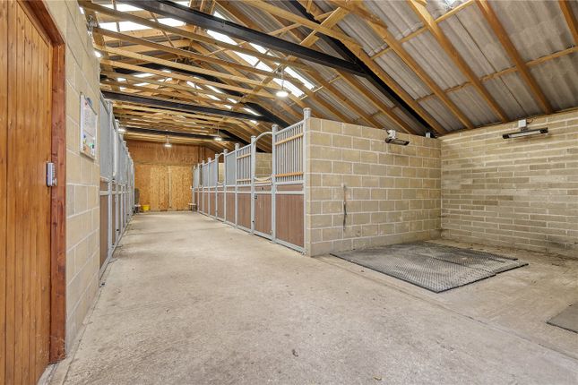 Stables