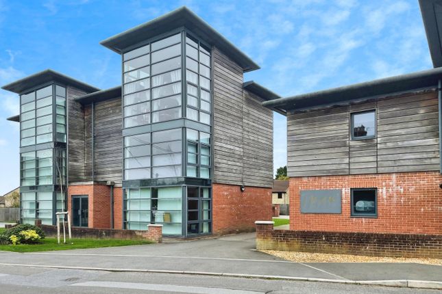 User_Edited_Photo-c6Eb2A5A_User-Edited-1362A16d-d6