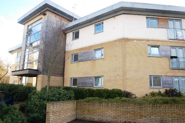 Flat to rent in Percy Green Place, Huntingdon