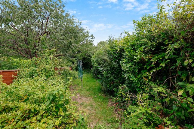 43, Leslie Road, Dorking photo 4
