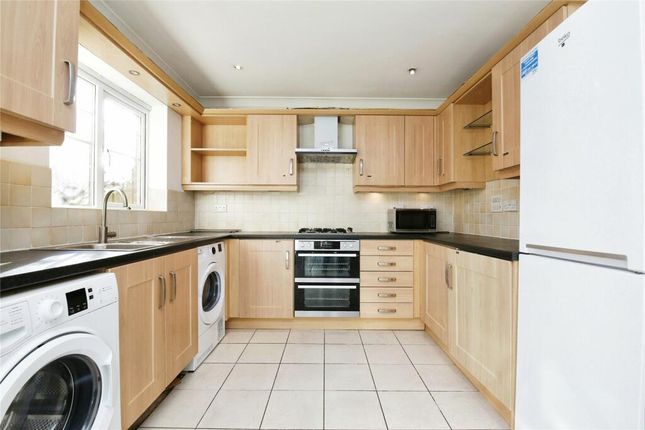 50, Durham photo 3