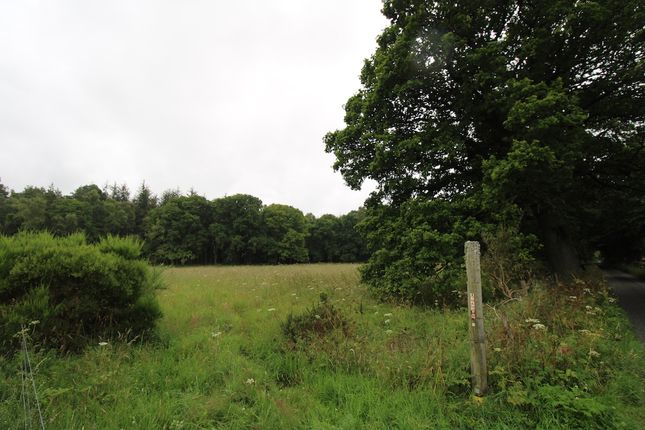 Land for sale in Muir Of Ord