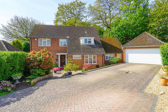 Thumbnail Detached house for sale in Barnfield Close, Hastings