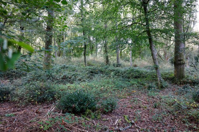Land for sale in Land, Conford, Liphook