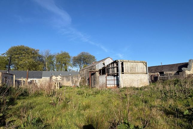 Barn 6, Matcott, Holsworthy photo 4