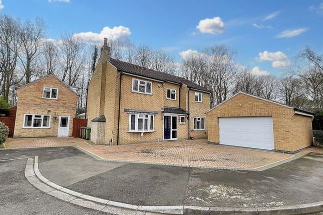 Thumbnail Detached house for sale in Finningley Road, Doddington Park, Lincoln