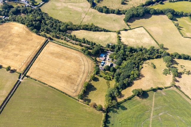 Pant Y Fen Isaf, Pencader photo 4