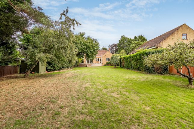 75, Castle Rising Road, King's Lynn photo 3