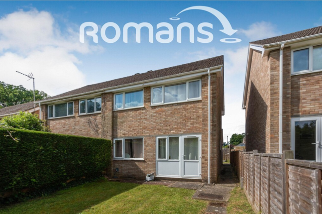 Room 3, 29, Whitmore Green, Farnham photo 4