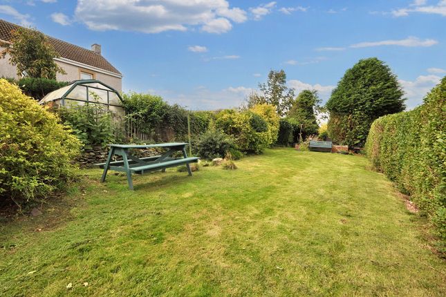 130 George Street, Newton Stewart photo 4