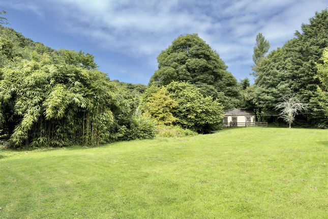 Penwartha Green, Perranporth photo 2