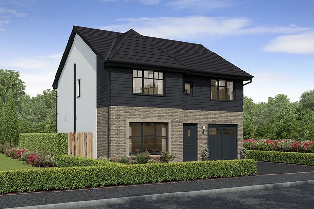 Thumbnail Detached house for sale in "Harris" at Whitehills Gardens, Cove, Aberdeen