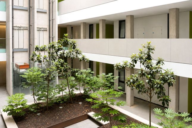 211 Lakeshore,, Lake Shore Drive, Somerset photo 2