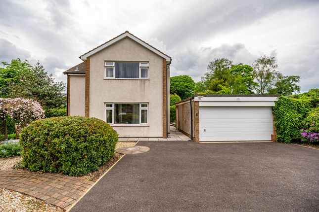 Thumbnail Detached house for sale in Annerley Road, Annan