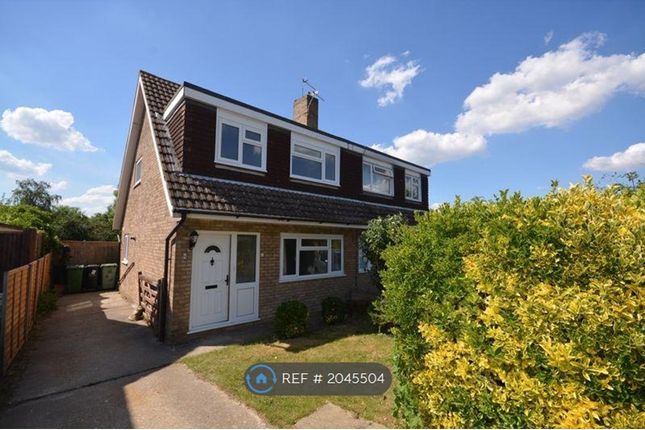 Thumbnail Semi-detached house to rent in Newchurch Road, Maidstone