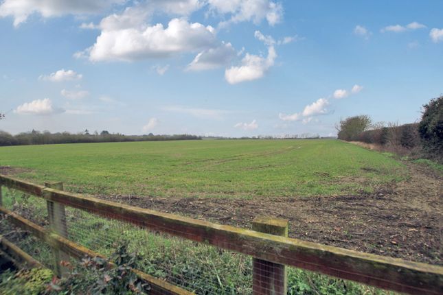 45, Blunham Road, Bedford photo 4