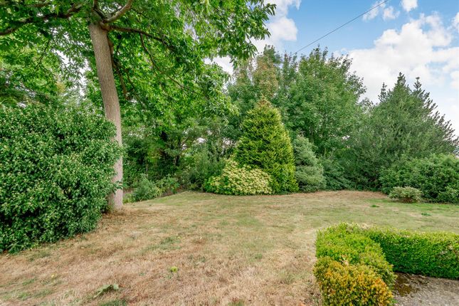 Thumbnail Property for sale in Vicarage Lane, East Farleigh, Maidstone