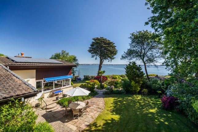 Terrace And View