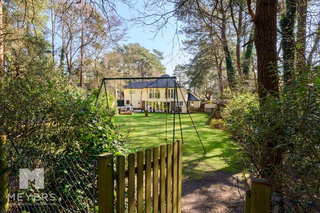 87, Lions Lane, Ringwood photo 4