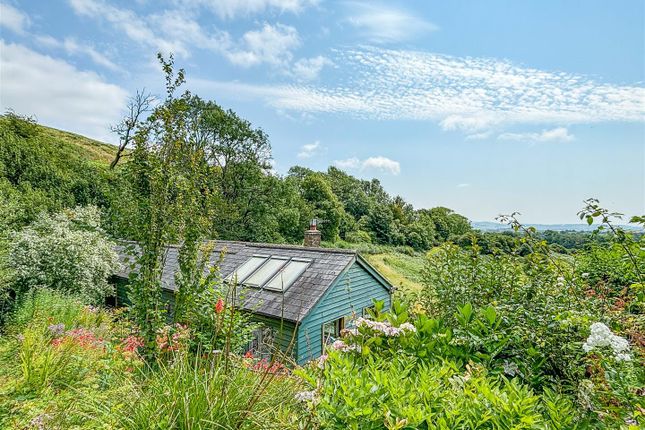 Garden-6.Jpg