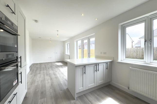 Kitchen/Family Dining Room