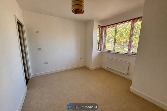 Boscawen Woods, Truro photo 3