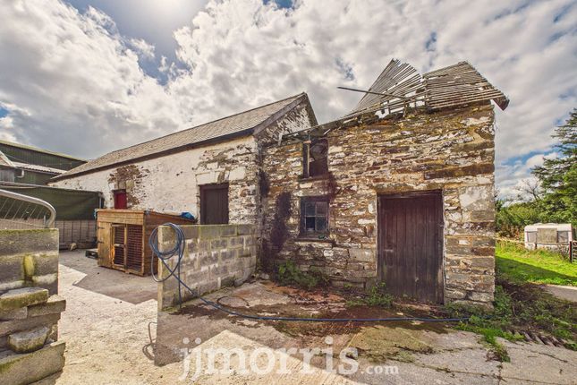 Gilfach Dofn, Clynderwen photo 4