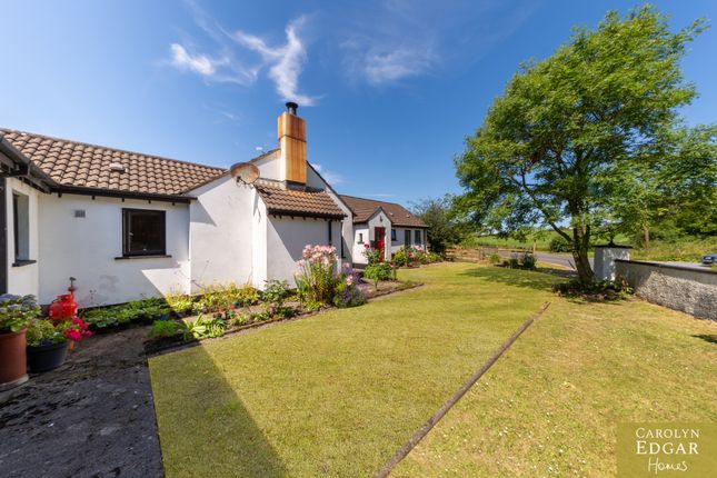 15A, Newtownards photo 3