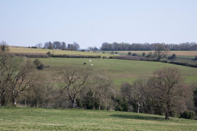 Picture 25