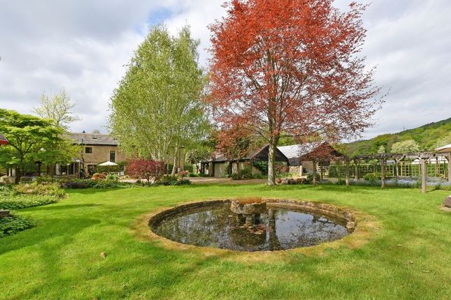 Surrounding Land &amp; Gardens