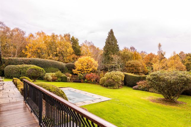 Viewswood, Fairwarp, Uckfield photo 3