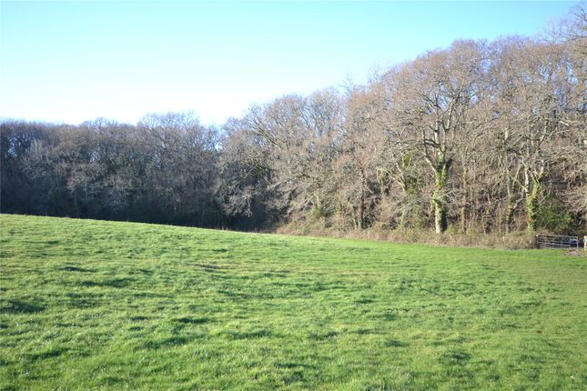 Land for sale in Flexford Lane, Sway, Lymington, Hampshire