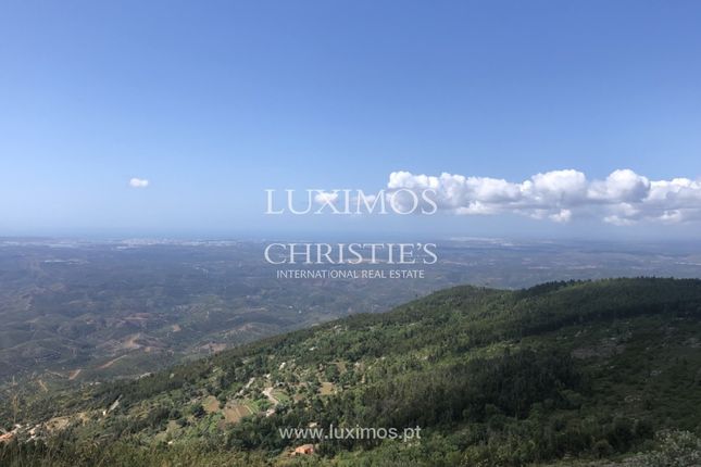 Land for sale in Monchique, 8550, Portugal