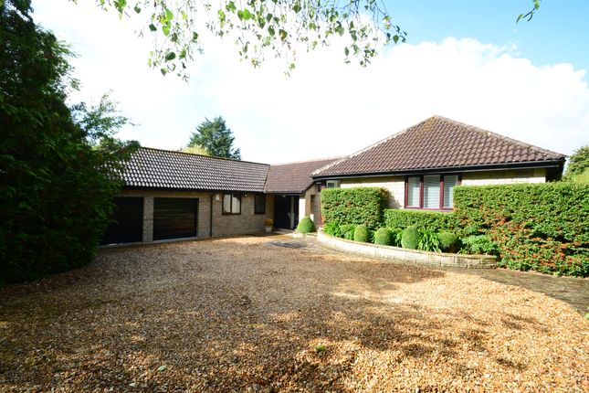 Thumbnail Detached bungalow for sale in Rode Hill, Rode, Frome