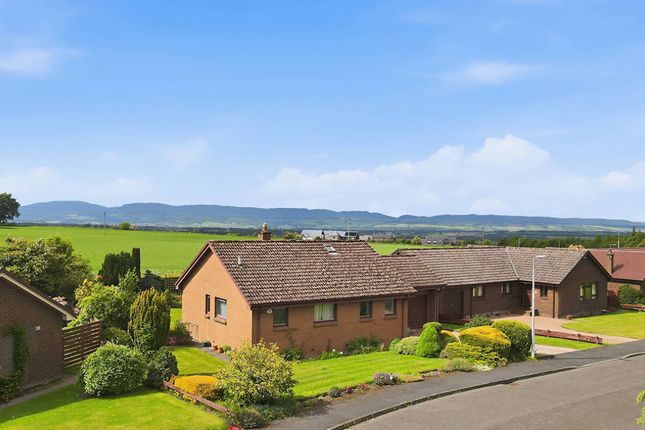 Grampian Avenue, Auchterarder photo 2