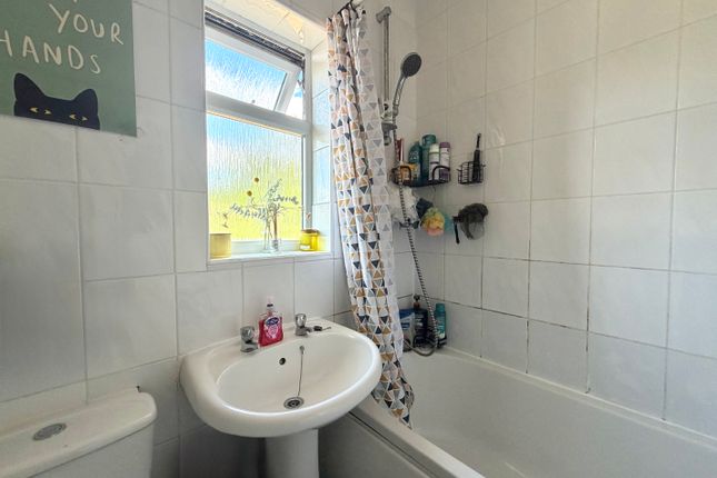 17, Brighton photo 3